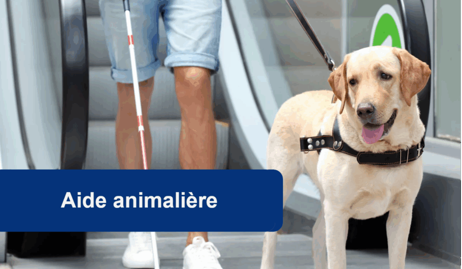 aide animalière pch