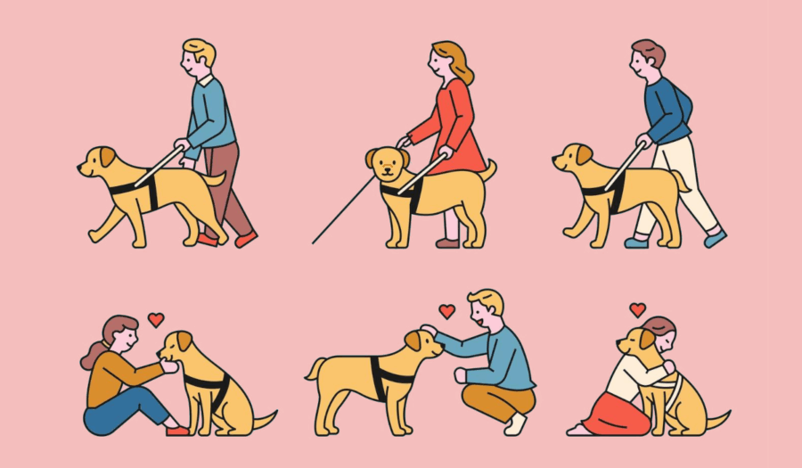 bienfait chien handicap